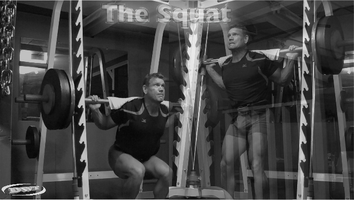 Barbell squats